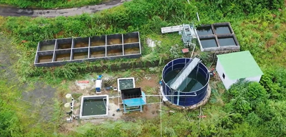 Dairy Effluent Treatment Plant Project